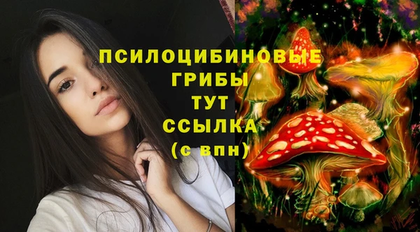 бошки Алзамай