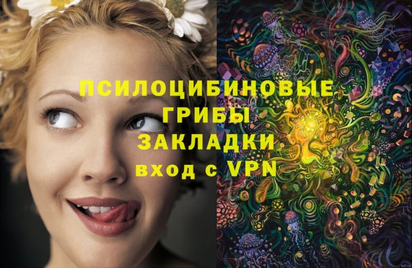 ALPHA PVP Алексин